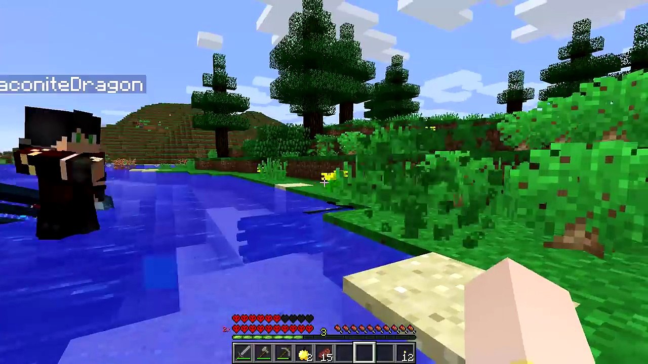 MINECRAFT ONE MOAR LIFE!