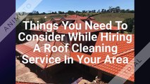 Things You Need to Consider While Hiring a Roof Cleaning Service in Your Area