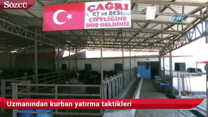 Uzmanından kurban yatırma taktikleri