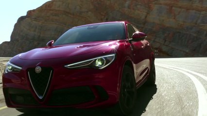 Essai Alfa Romeo Stelvio Quadrifoglio : puissance et équilibre