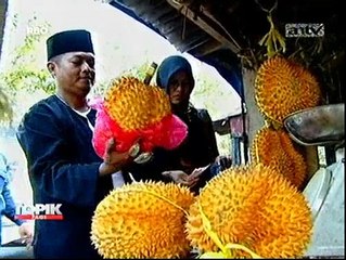 Mengunjungi Kolektor Batu Akik