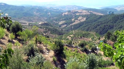 Köylüler tarım alanlarını geri istiyor