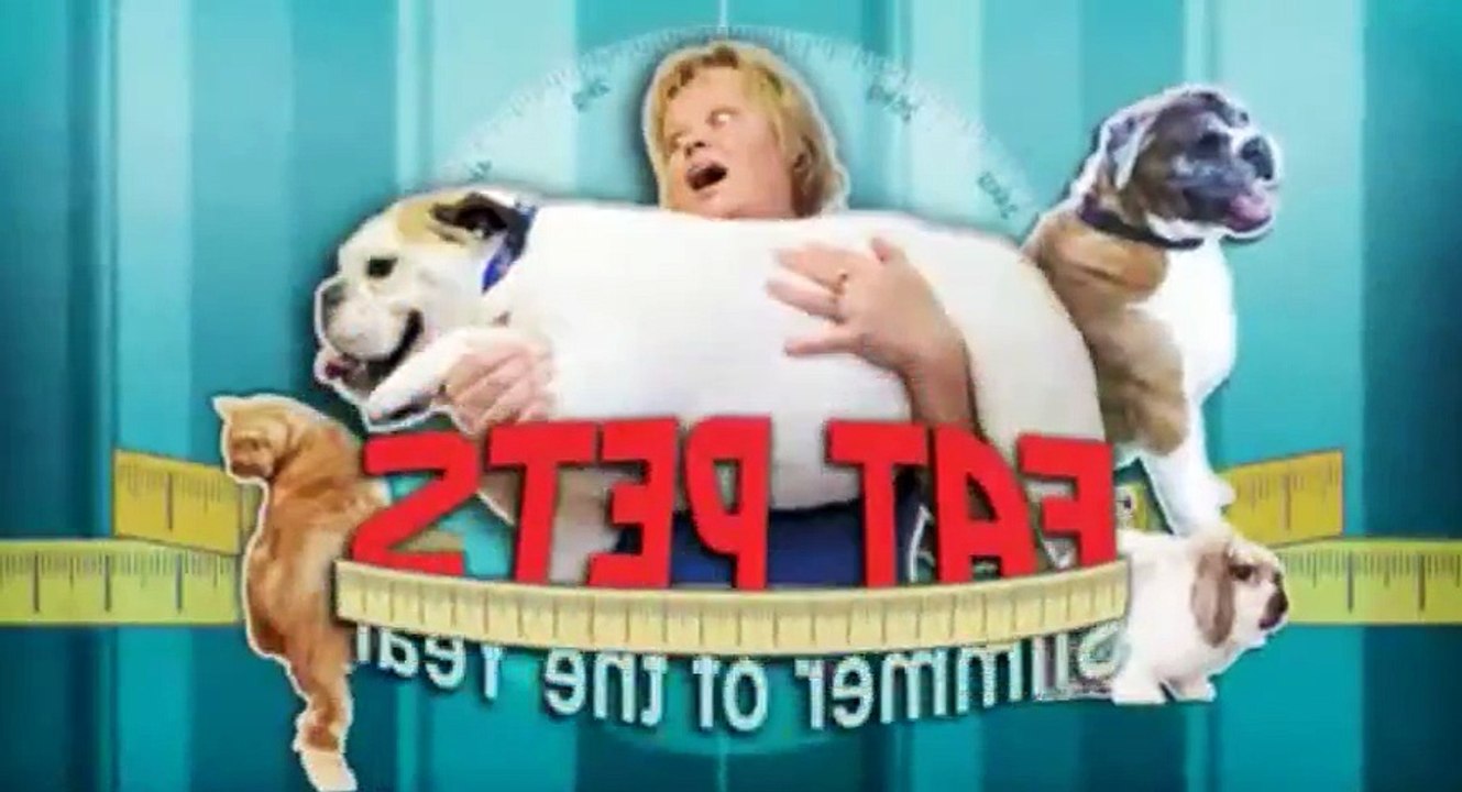 Fat Pets - Slimmer of the Year S01 - Ep03  3 HD Watch
