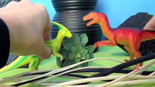 Dinosaurs Play Hide & Seek الديناصورات يلعب إخفاء وطماي | SYRAJ | Lets Play يلا نلعب