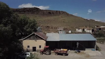 Malakanlardan Kalan Değirmen Yıllara Meydan Okuyor