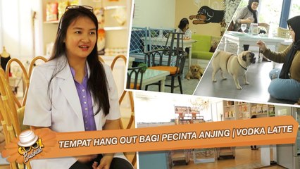 Tempat Hang Out Bagi Pecinta Anjing | VODKA LATTE