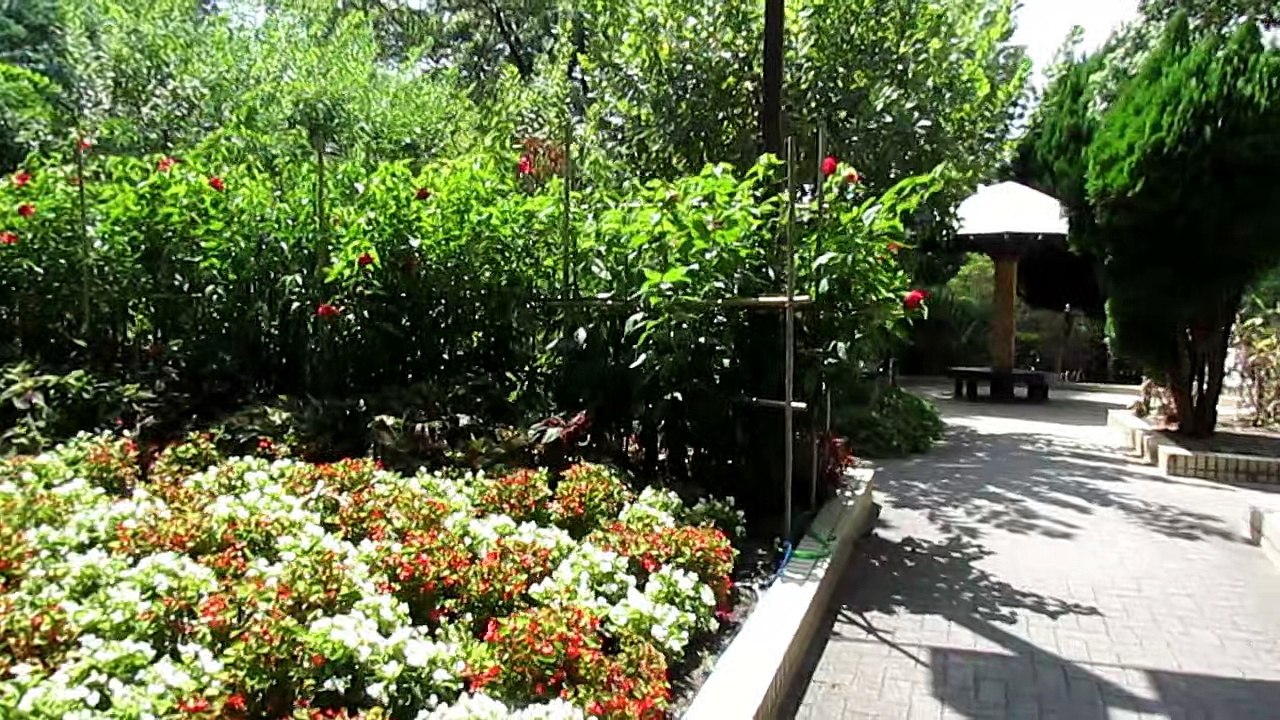 Walk through Meijo-park. 【Walk through sightseeing spot in aichi. 】