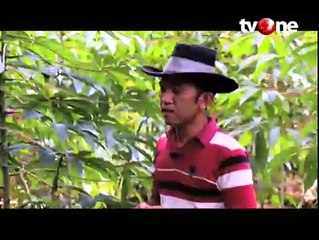 Thiwul Buatan Mantan TKI Ini Dipasarkan di Malaysia & Hong Kong