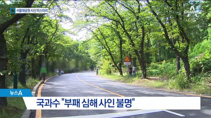 서울대공원 시신 미스터리…CCTV 분석에 수사력 집중