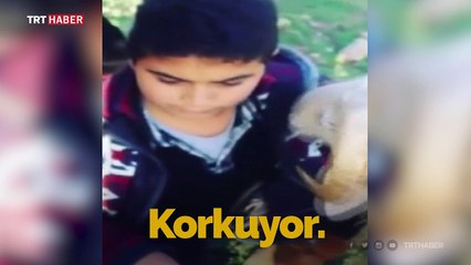 Küçük çocuğun kurbanlıklarla imtihanı