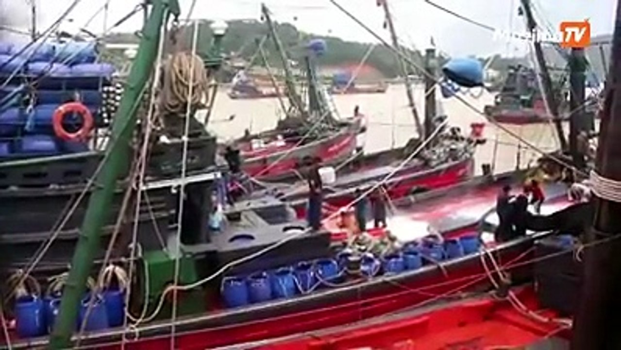 ကမ္းေဝး ငါးဖမ္းေလွမ်ား ရာသီျပန္စ ၊ ေစာင့္ၾကည့္ေရးကိရိယာ (VMS) တပ္ဆင္ရန္ အစိုးရမွ ျပန္ေျဖေလွ်ာ႔ေပး==============ၿမိတ္ေဒသတြင္ ၾသဂုတ္လ ၁၆ ရက္ေန႔မွ စ၍ ပင္လယ္ျပင္သ