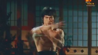 The Real Fight  of bruce lee