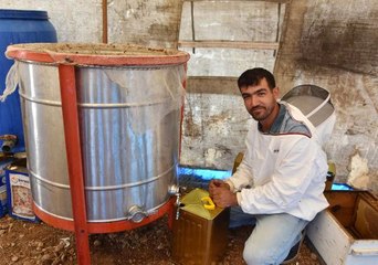 Sadece Isparta'da Üretilen Lavanta Balının Kilosu 250 Lira