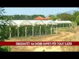 EMIGRANTET: NA DHEMB SHPIRTI PËR TOKAT DJERR