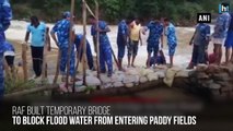 Kerala Floods: RAF blocks flood water from entering paddy fields