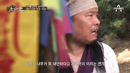 고려를 공포로 몰아넣은 귀신 나무 저주 사건