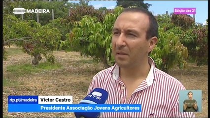 Exportação de Ervas Aromáticas desde a Madeira para o Território Continental