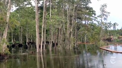 Un trou gigantesque dans l'eau avale tout autour de lui en Louisiane