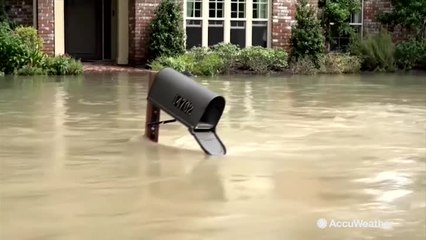 1 year later: Hurricane Harvey by the numbers