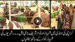 People take selfies with cattle named after Shehbaz Sharif, Nawaz Sharif at sacrificial animal market