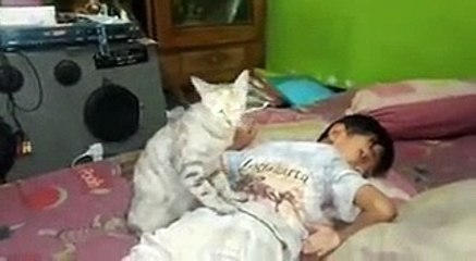 Cat Giving A Little Boy A Massage