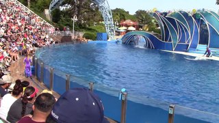 All About Dolphins - Dolphin Days (Full Show) at SeaWorld San Diego