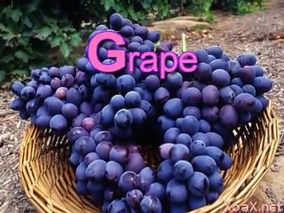 Childrens: Spelling 13 Fruits