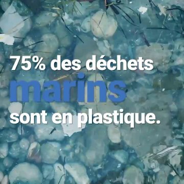 L'économie circulaire pour lutter contre les déchets marins
