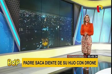 Hormiga es captada “robando” valioso diamante