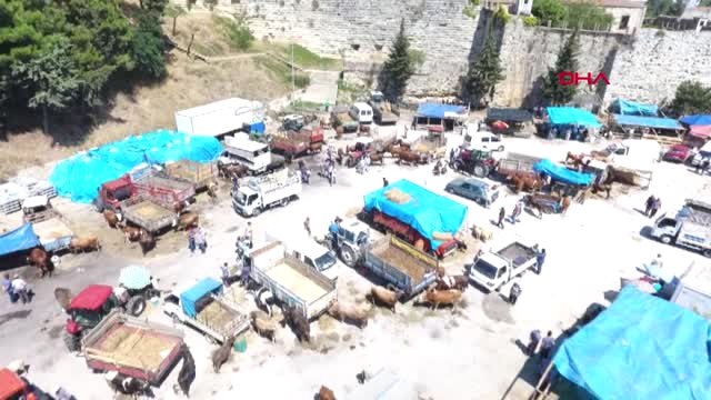 Sinop'ta Kurban Pazarında Arife Yoğunluğu