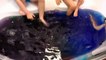 Джелли Бафф в ванной Неудачное смешивание 5 цветов Челлендж Энгри Бёрдс ищем игр