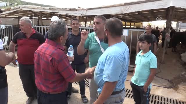 Kurban Pazarlarında Arefe Günü Hareketliliği - Kocaeli