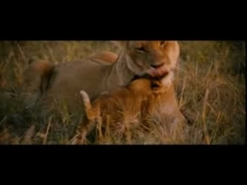 Les_Animaux_amoureux