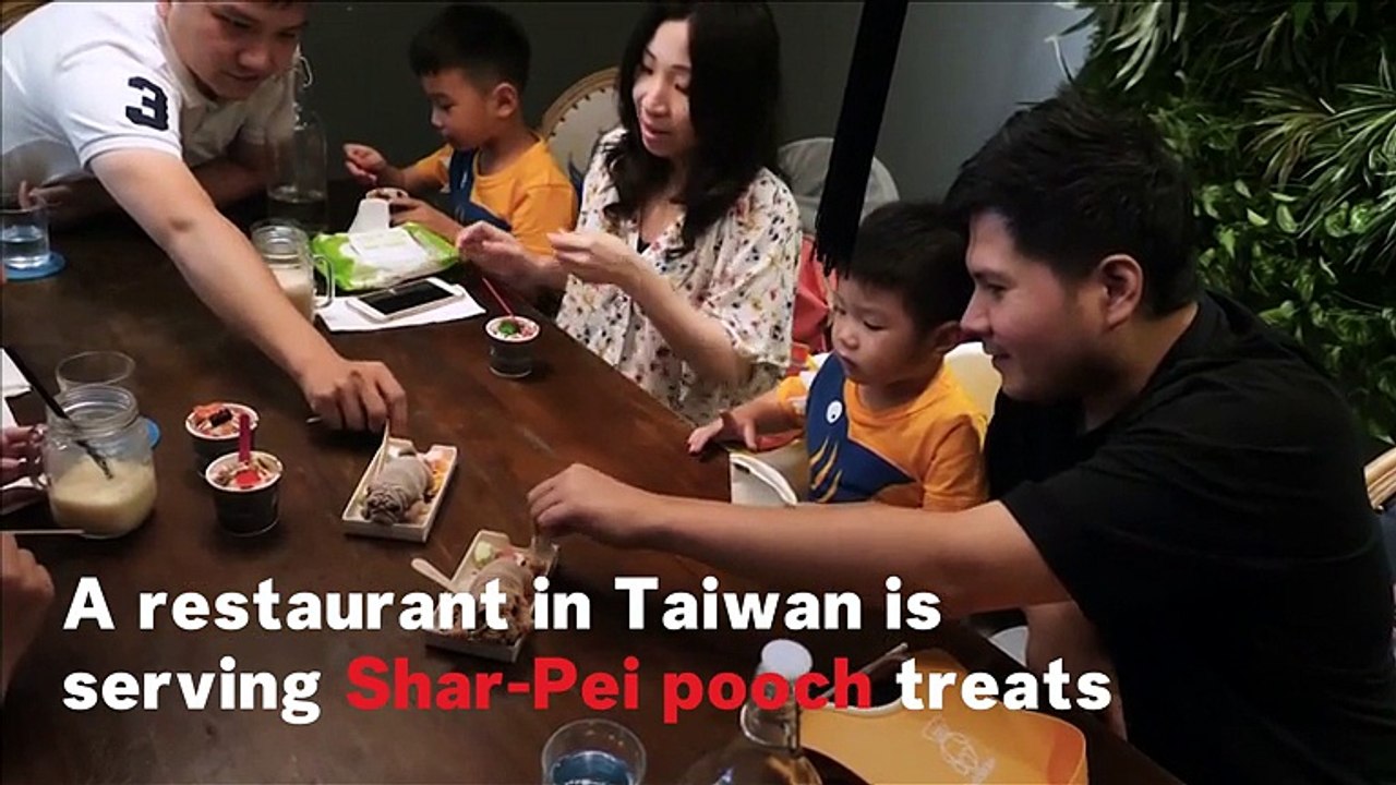 Ice Cream Puppy Treats On Sale In Taiwan