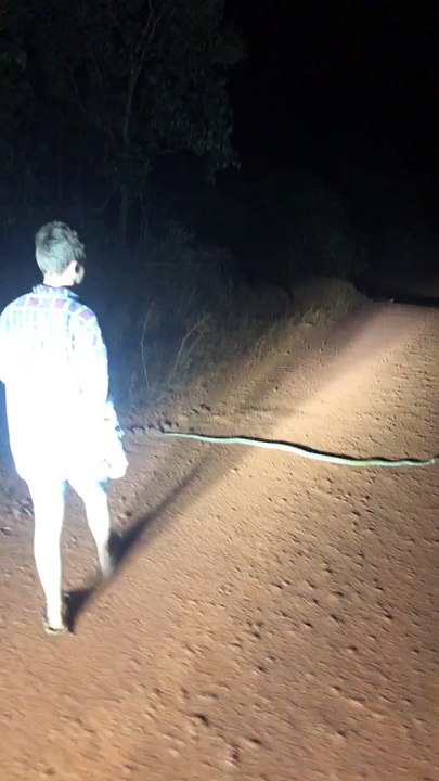 How Not to Rescue a Snake