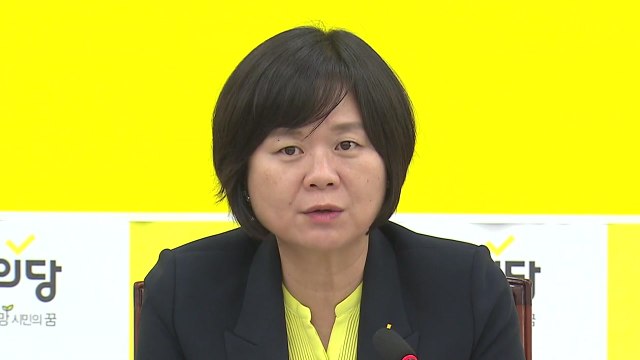 이정미 소득주도 성장, 경제민주화와 병행해야 / YTN
