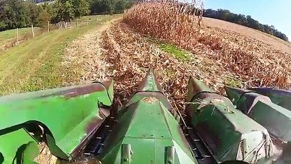 new PA corn harvest