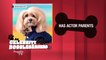 Before the dog days of summer roll in, we thought we'd play one of our favorite games: Celebrity Doggelgängers! See if you can name the stars the pooches parallel! #PageSixTV