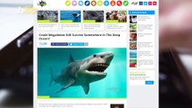 New Megalodon Movie Makes People Question if the Massive Shark Still Exists
