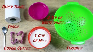 How To Make Plastic From Milk And Vinegar