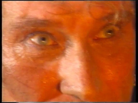 Johnny Hallyday Be bop a lula Bercy 1995