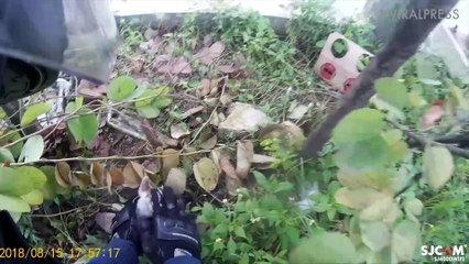 Motorbike Rider Stops Traffic To Save Kitten