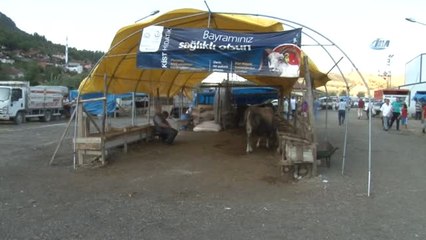 Hayvan Pazarında Bayram Öncesi Durgunluk Hakim