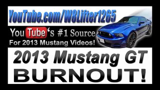 new Ford Mustang GT 5.0 Track Package Burnout at the Drag Strip!