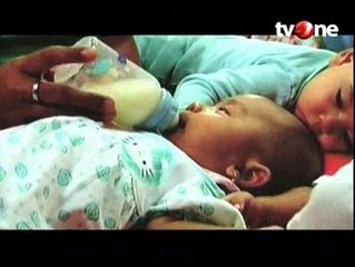 Manfaat Susu Hewani bagi Manusia (Bagian 1)