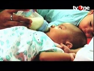 Manfaat Susu Hewani bagi Manusia (Bagian 3)