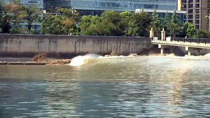 Surfing Chinas River Wave The Silver Dragon