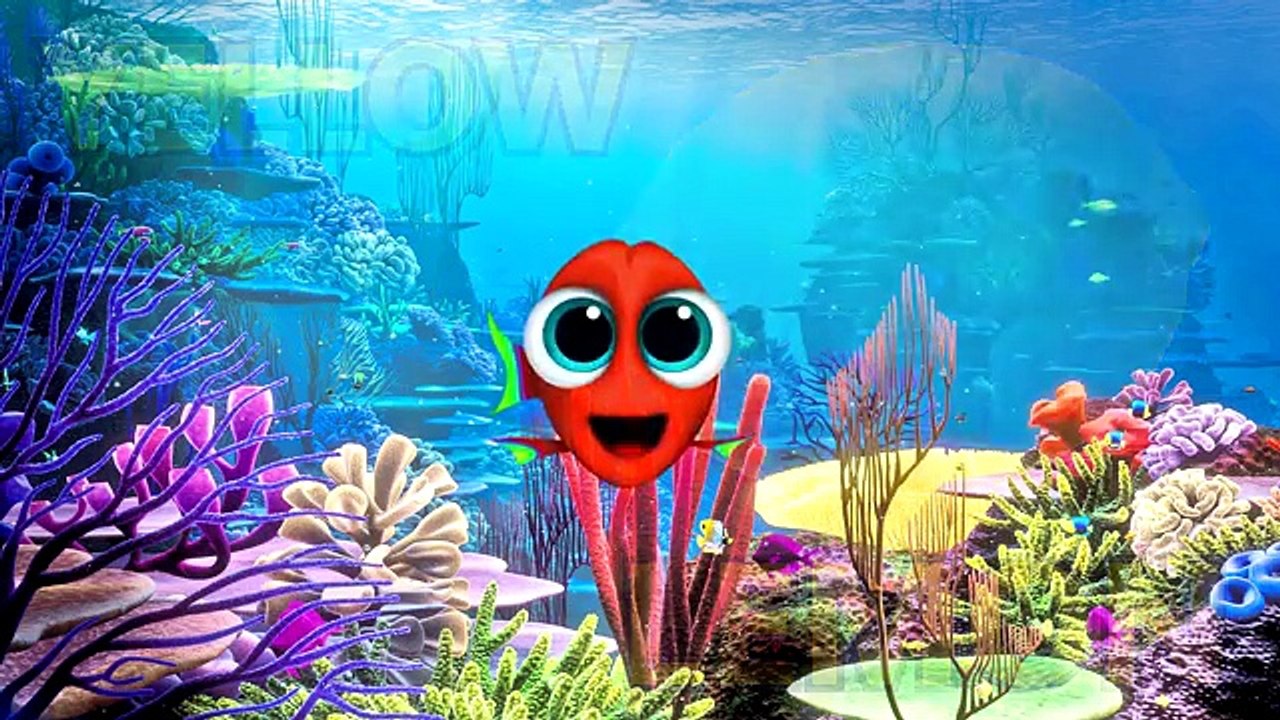 Learn Colors with Baby Dory | Finding Dory | What has color like Baby Dory ? | Learning Vi