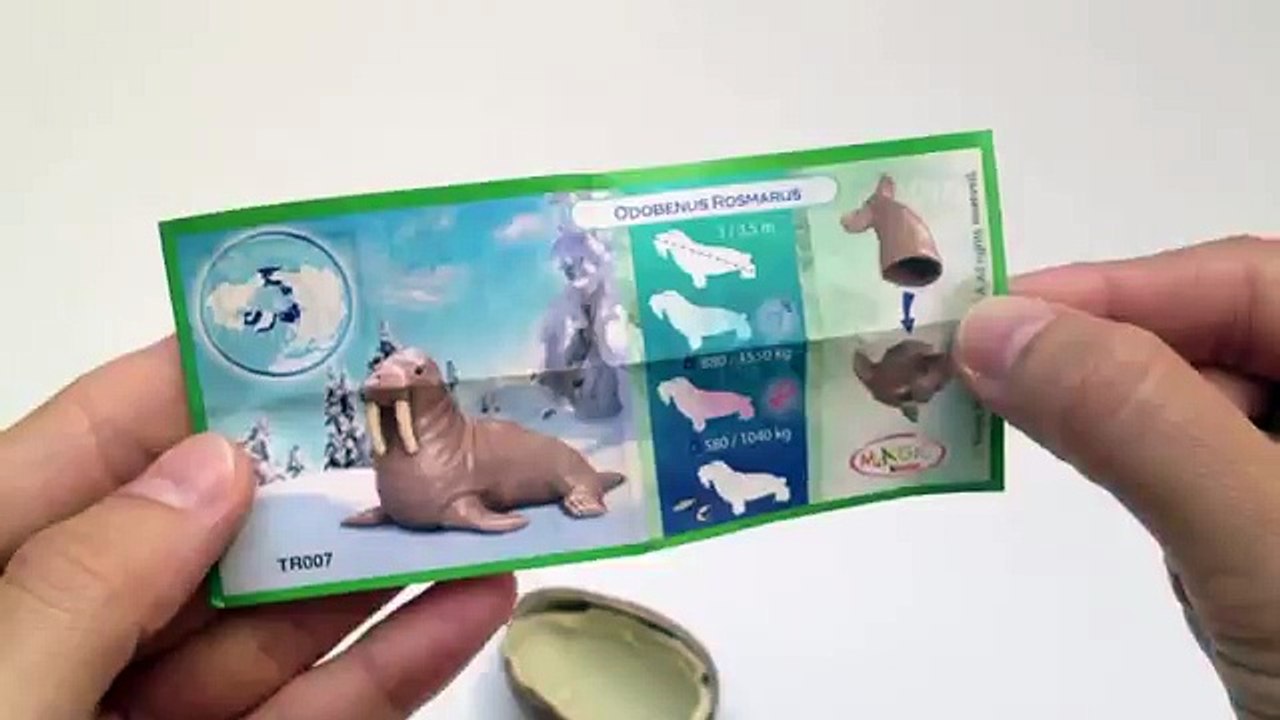 Barbie and Kinder Surprise Chocolate Eggs Unwrapping kidstvsongs