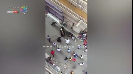 عجل يحاول الهرب بالسويس والأهالى يذبحونه بسبب رفضة الاستسلام